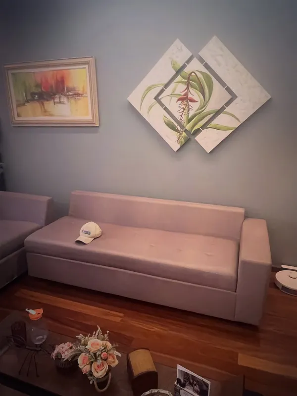 Sofá rosé higienizado em sala de estar